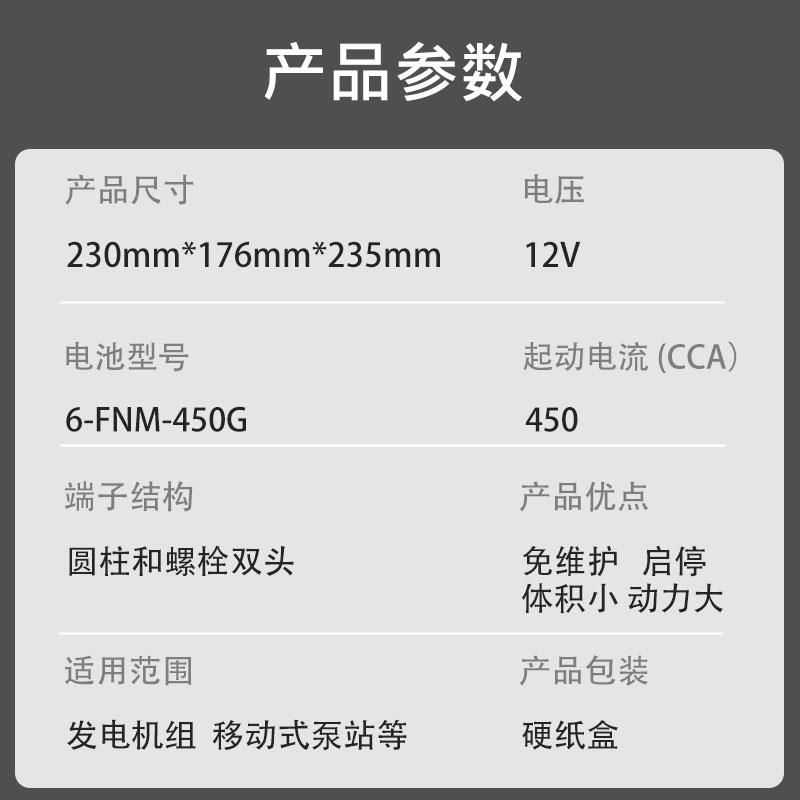 工業應急水泵電池