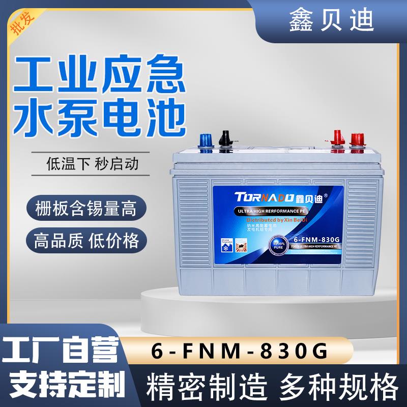 工業應急水泵電池